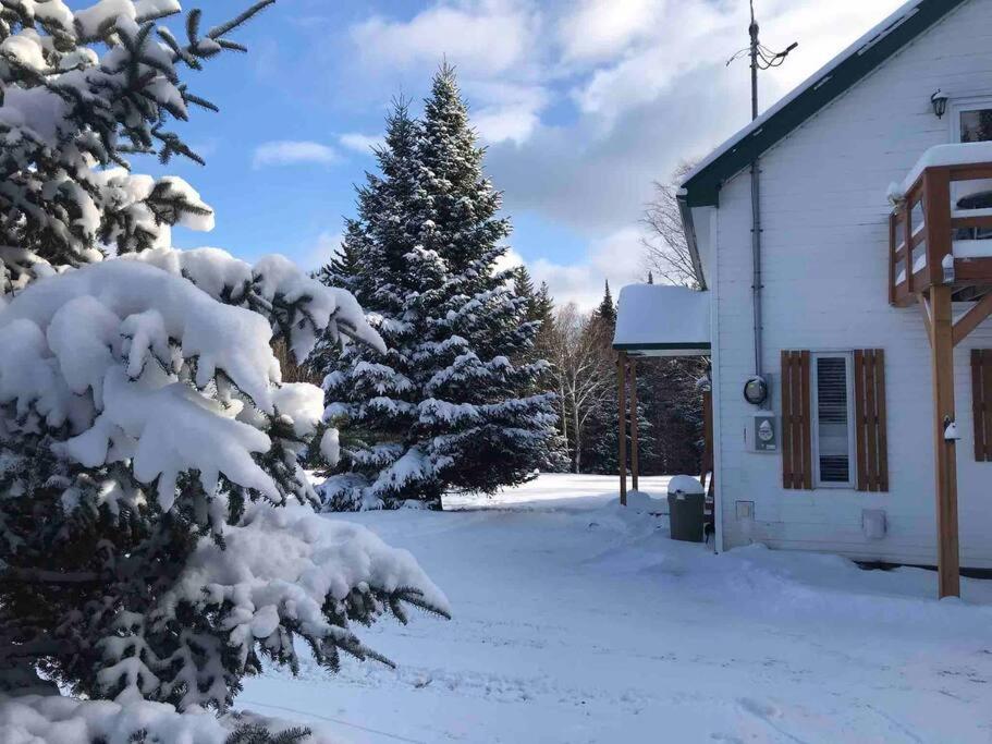 Le Jazz- Chalet Rustique/Chic Avec Spa Notre-Dame-Des-Bois Luaran gambar